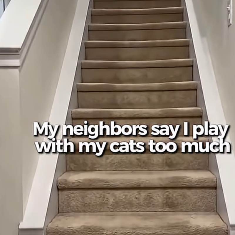 Nature Celts 3🌳🐝🦢🐎💐🌌🌟 Nature Celts 3🌳🐝🦢🐎💐🌌🌟 post image