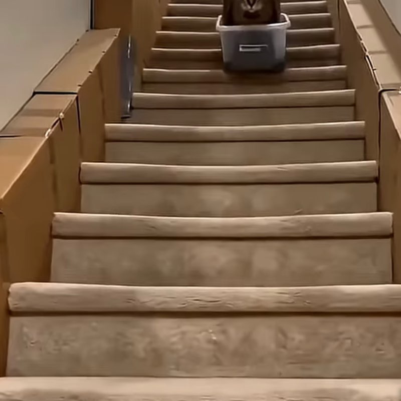 Nature Celts 3🌳🐝🦢🐎💐🌌🌟 Nature Celts 3🌳🐝🦢🐎💐🌌🌟 post image