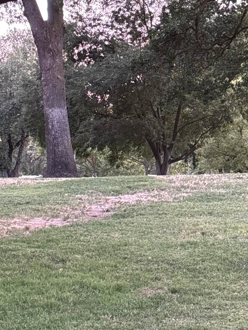 walking near me in Sherwood Park in summer