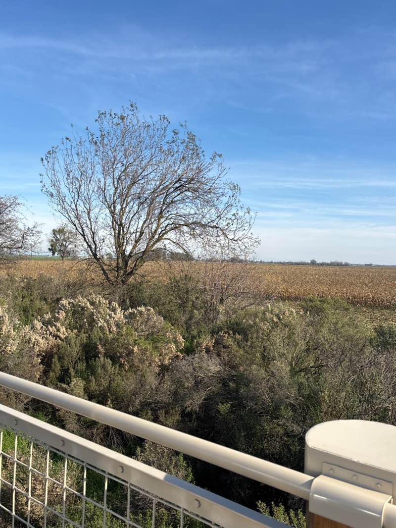 walking near me in San Joaquin River National Wildlife Refuge in winter