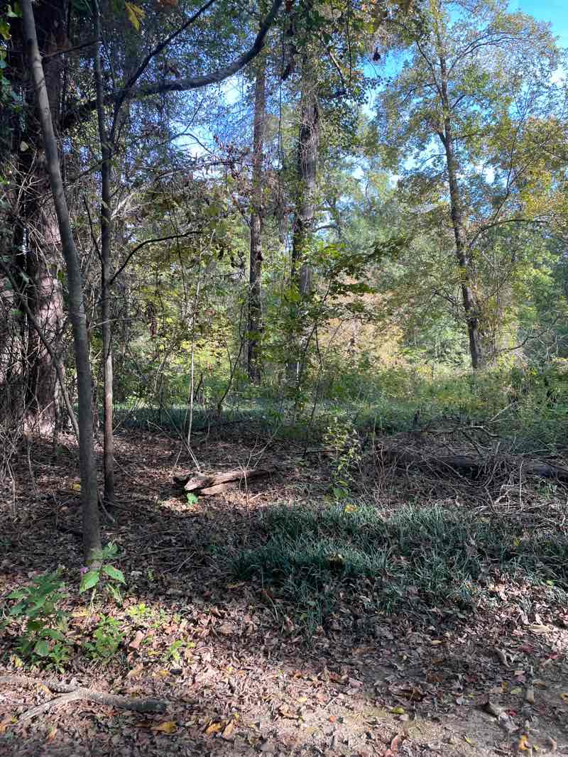 walking near me in Crabtree - Oak Park Greenway in autumn