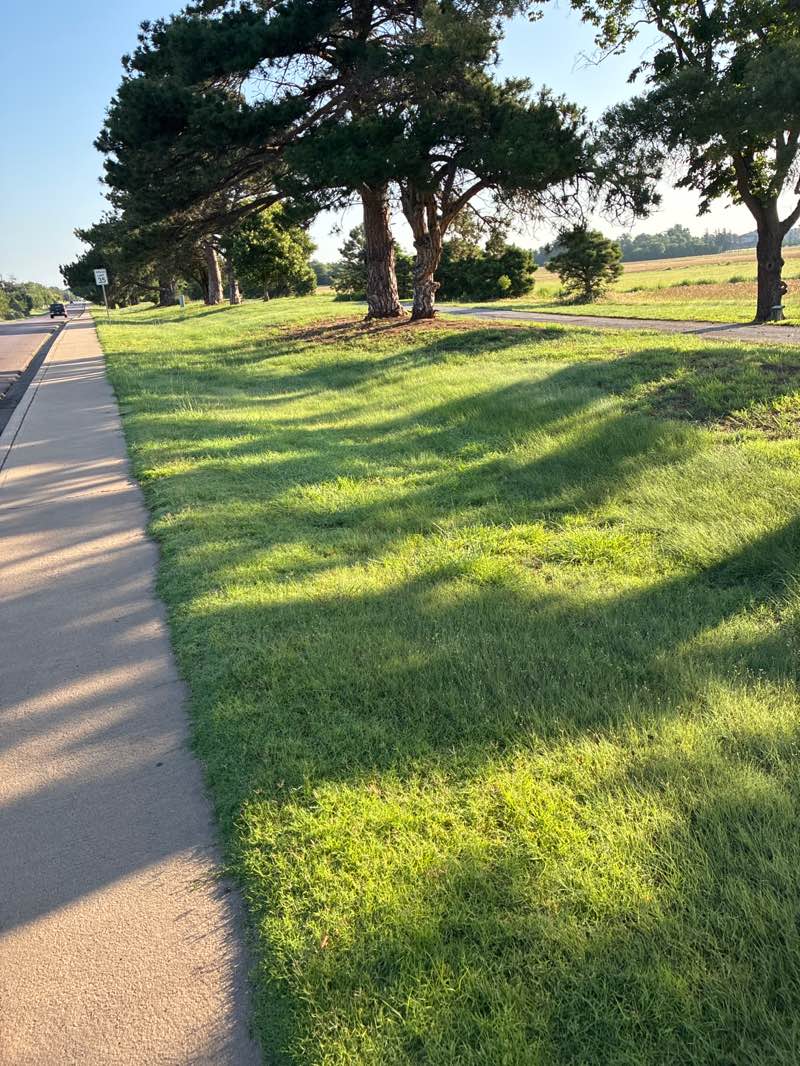 walking near me in Rangeland and Pasture Research in summer