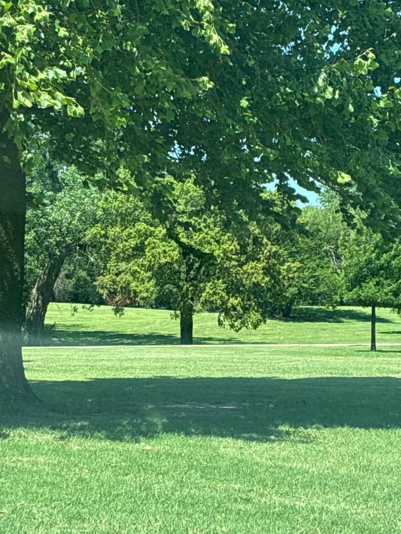 walking near me in Crosslin Park in summer