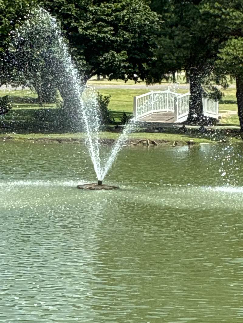 walking near me in Rotary Park in summer