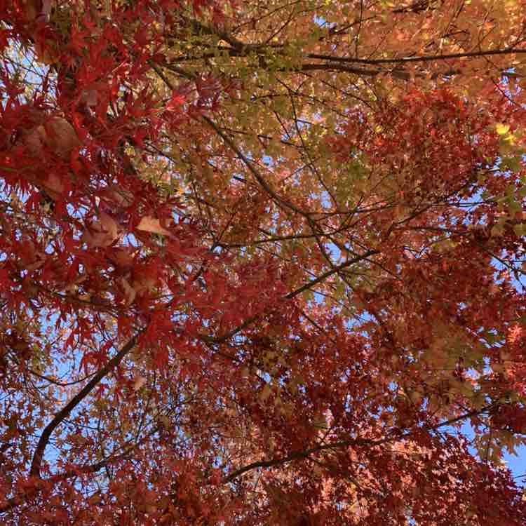 ウオーク^_^ウオーク 乙丸幸也 post image