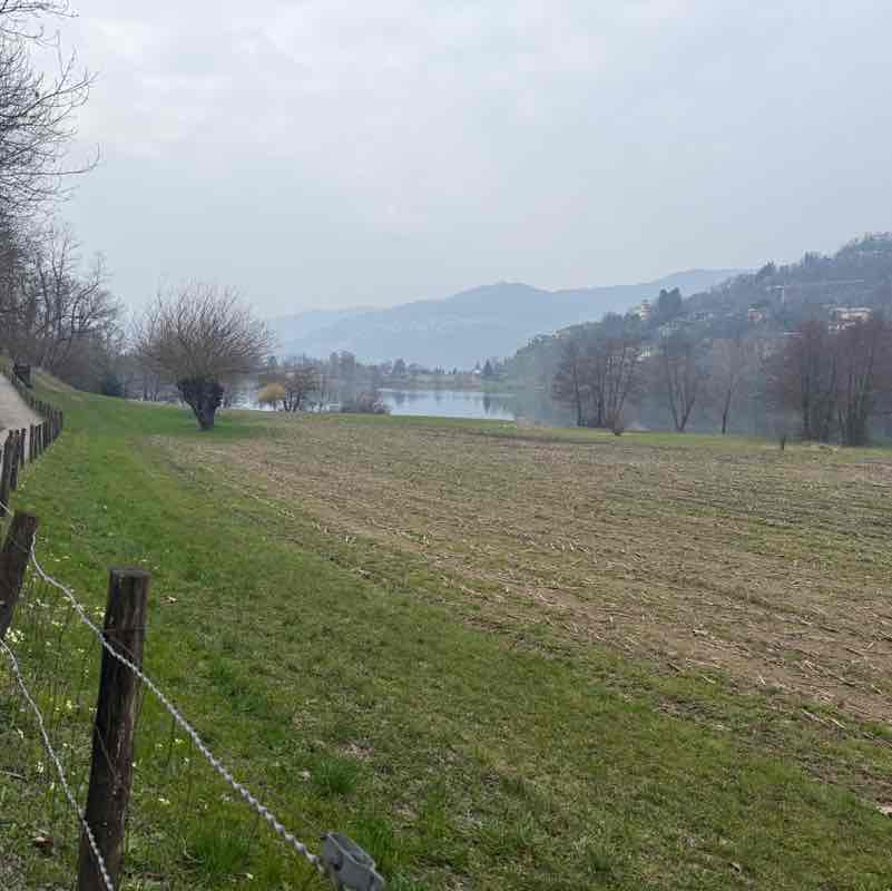 Andrea ♋️ post 3