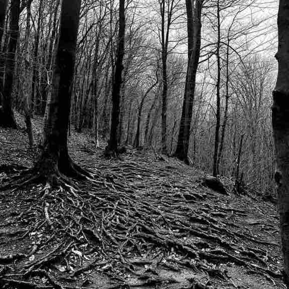 Andrea ♋️ post 3