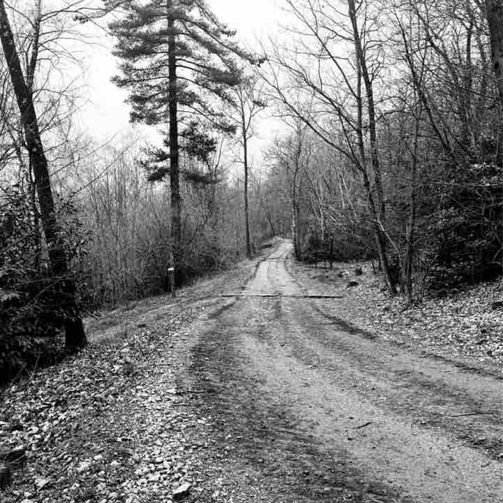 Andrea ♋️ post 1