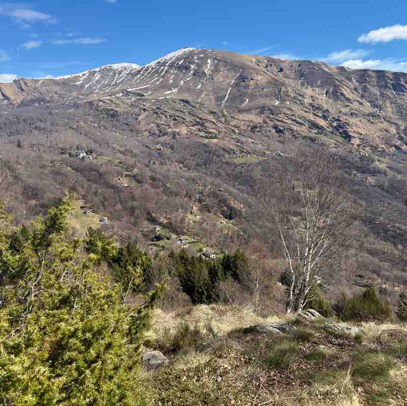 Andrea ♋️ post 2