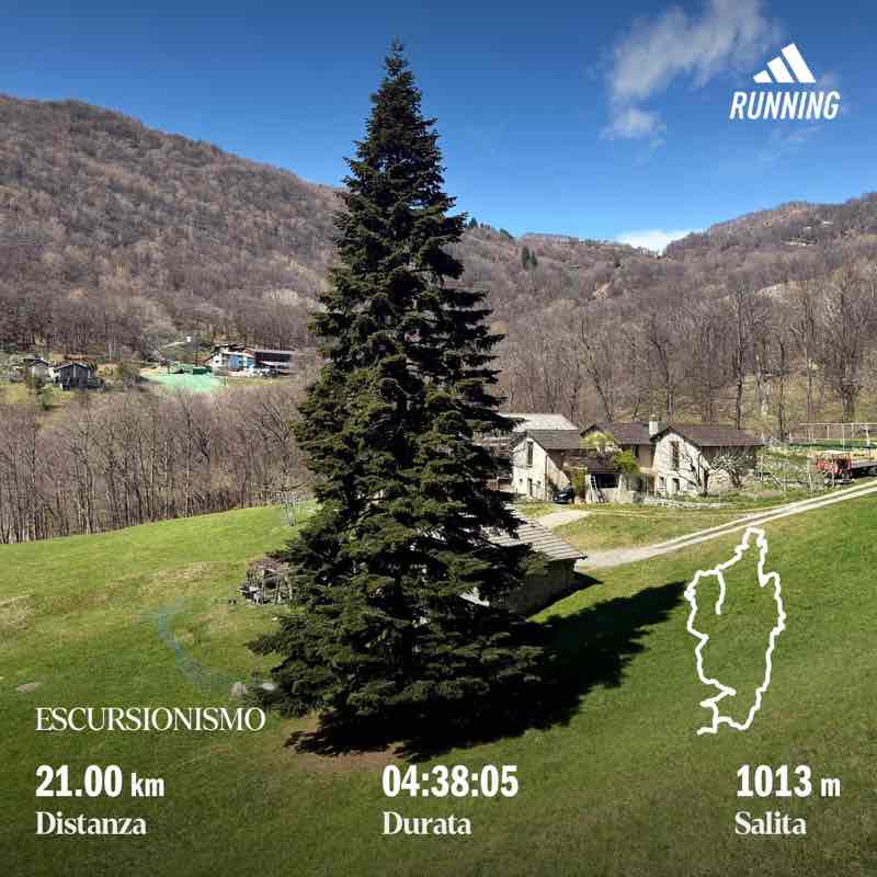 Andrea ♋️ post 1