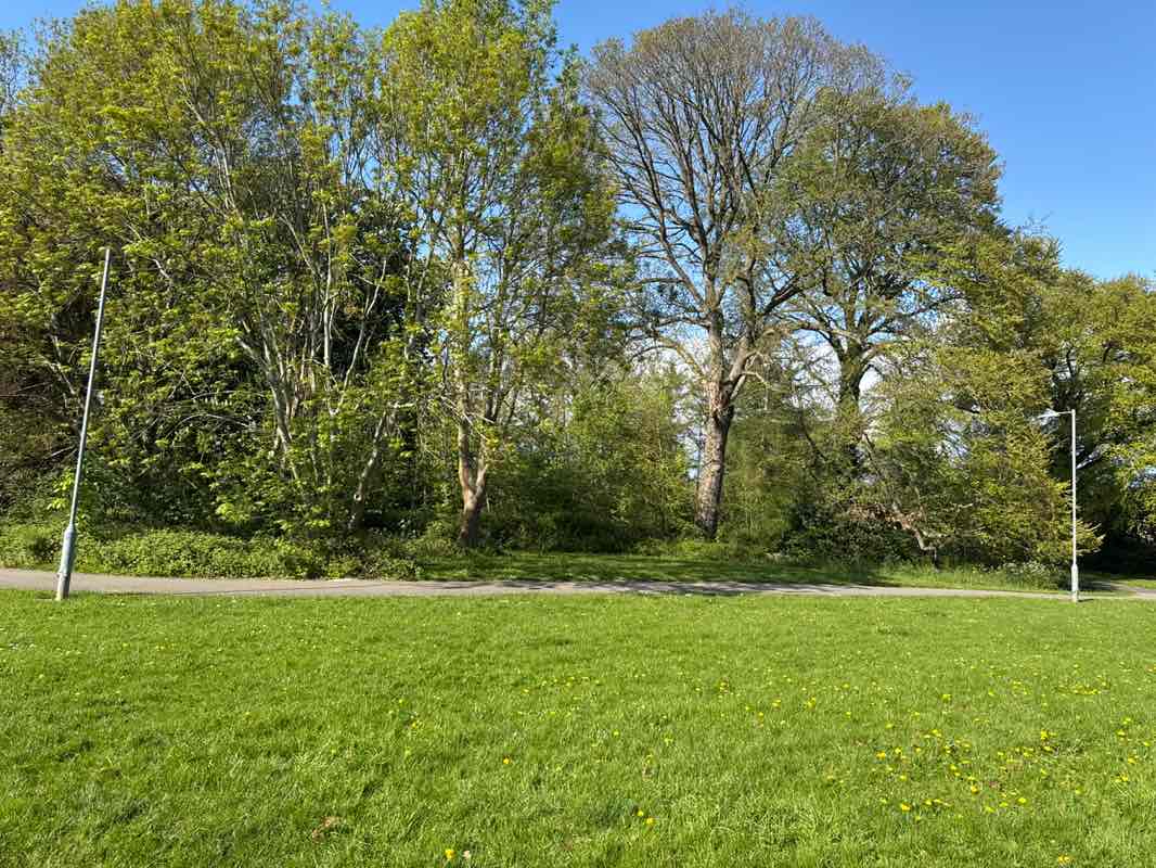 walking near me in Brookfields Park in spring