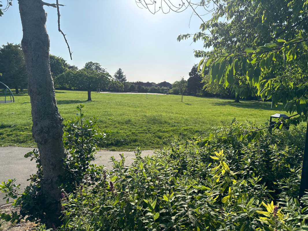 walking near me in East Avenue Park in summer