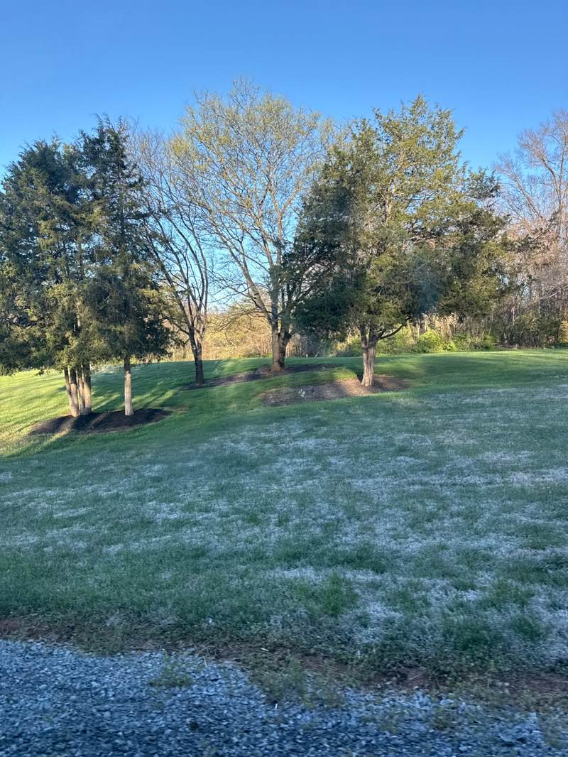 walking near me in Field of Dreams Recreational Complex in spring
