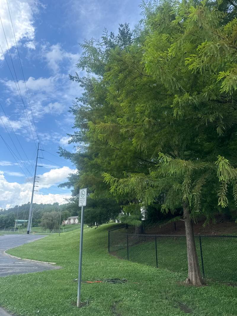 walking near me in Sevierville City Park in summer