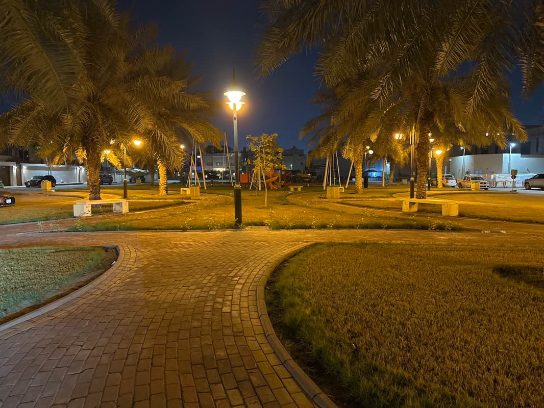 walking near me in Park in winter