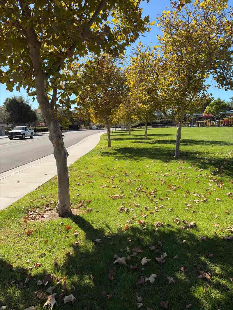 walking near me in Palomar Park in autumn