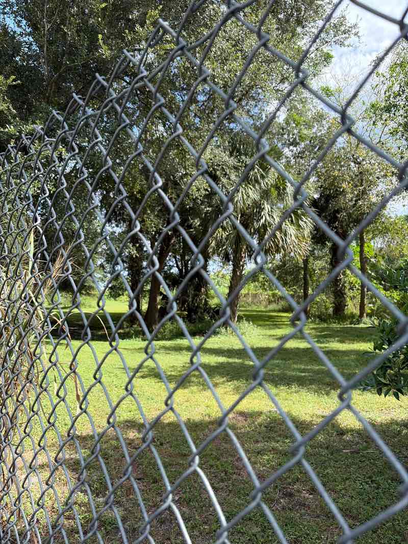 walking near me in Kiwanis Park in autumn