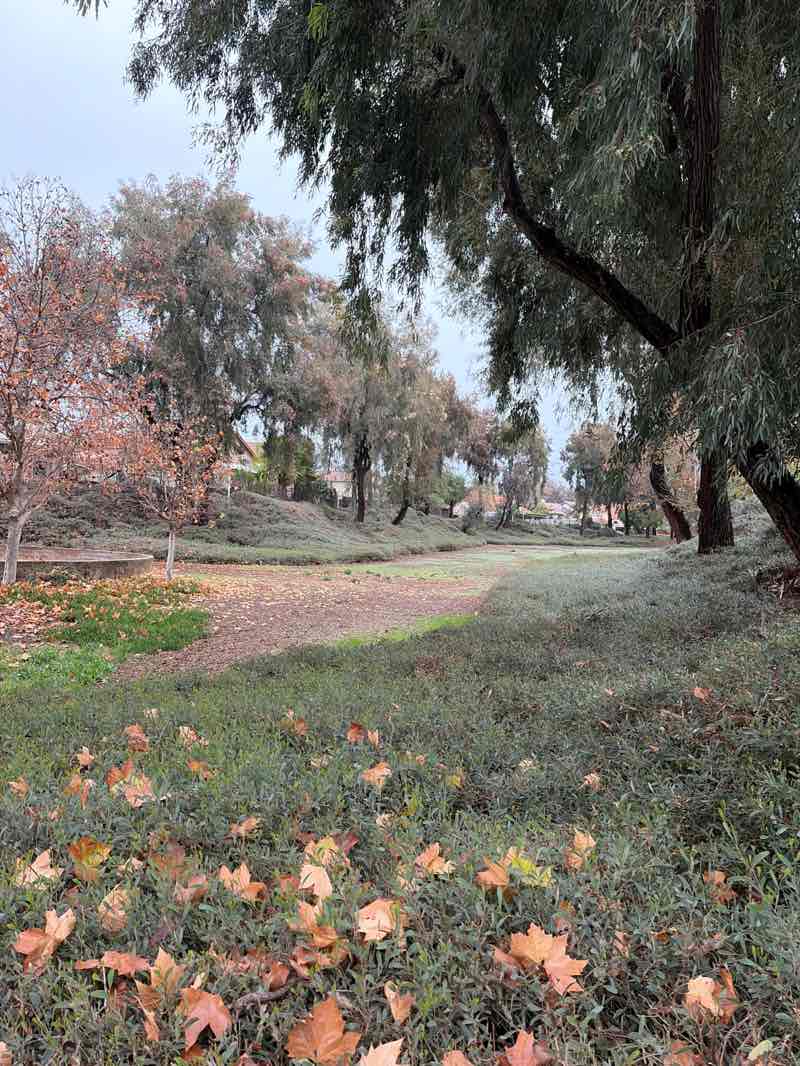 walking near me in Eastgate Park in winter