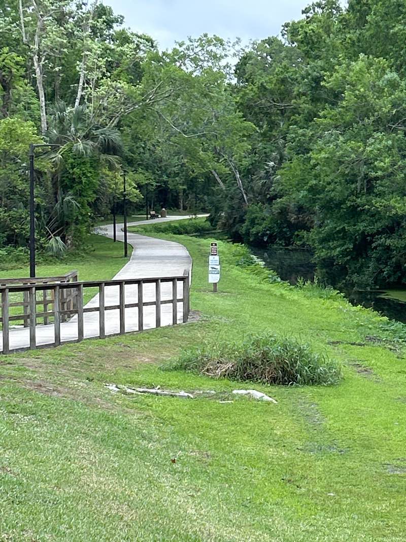 walking near me in Haas Park in spring
