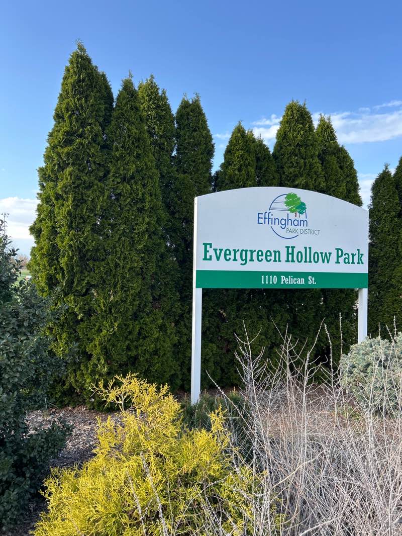 walking near me in Evergreen Hollow Park in spring