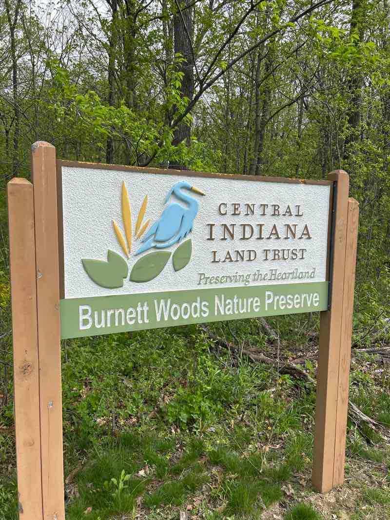 walking near me in Burnett Woods Nature Preserve in spring