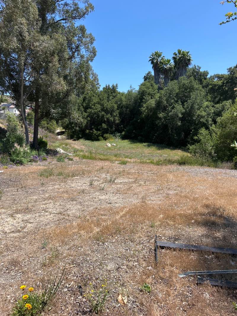 walking near me in Oak Mesa Park in spring