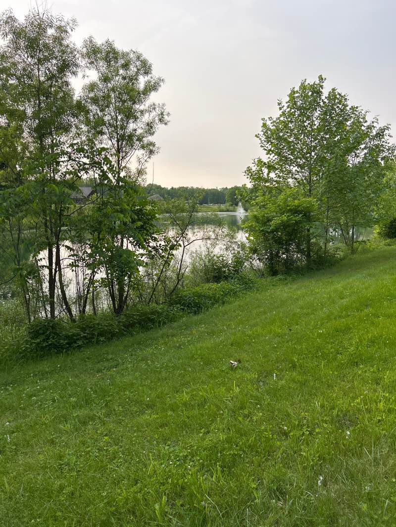 walking near me in Washington Township Park in summer