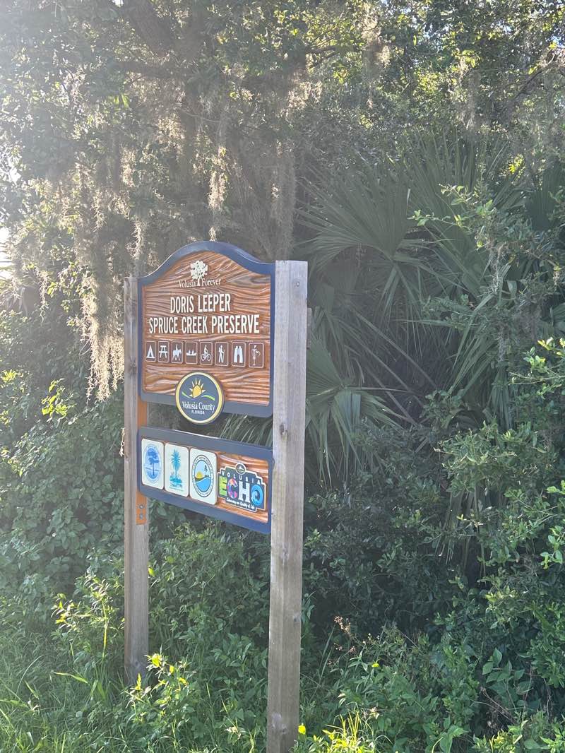 walking near me in Spruce Creek Perserve in summer