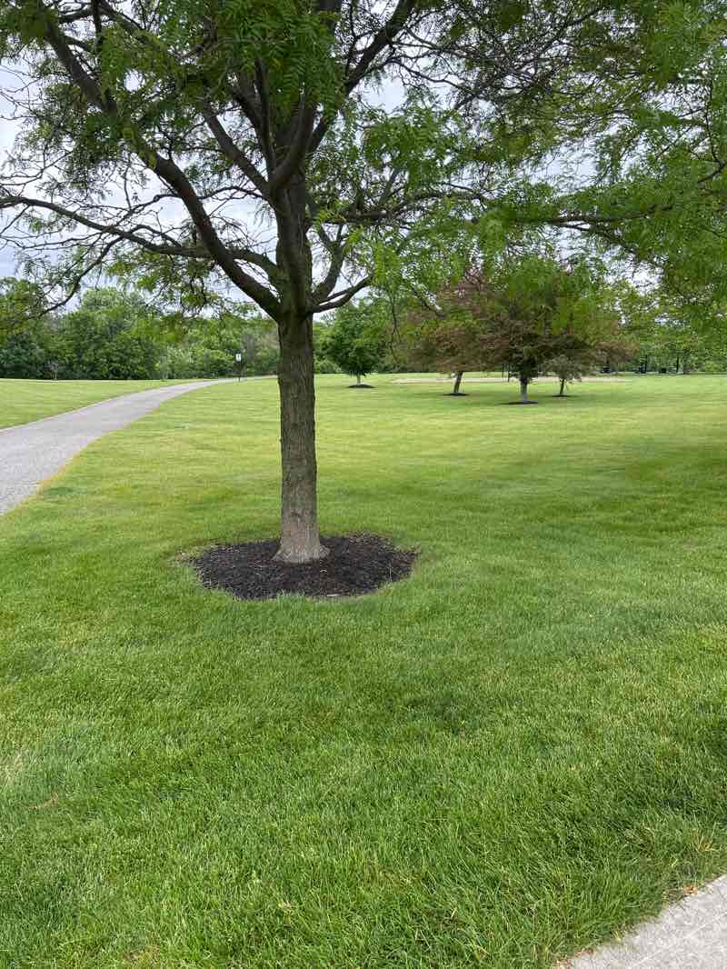 walking near me in The Settlement Community Park in summer