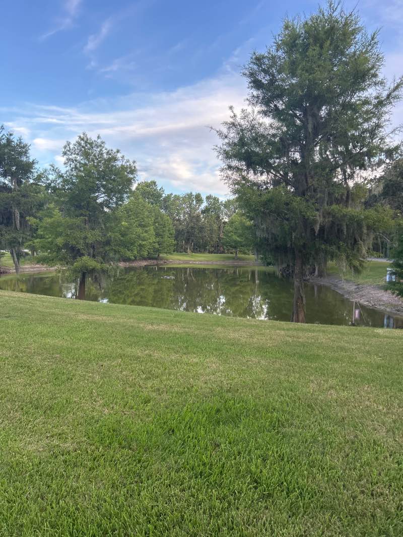 walking near me in Tuskawilla Preserve in summer