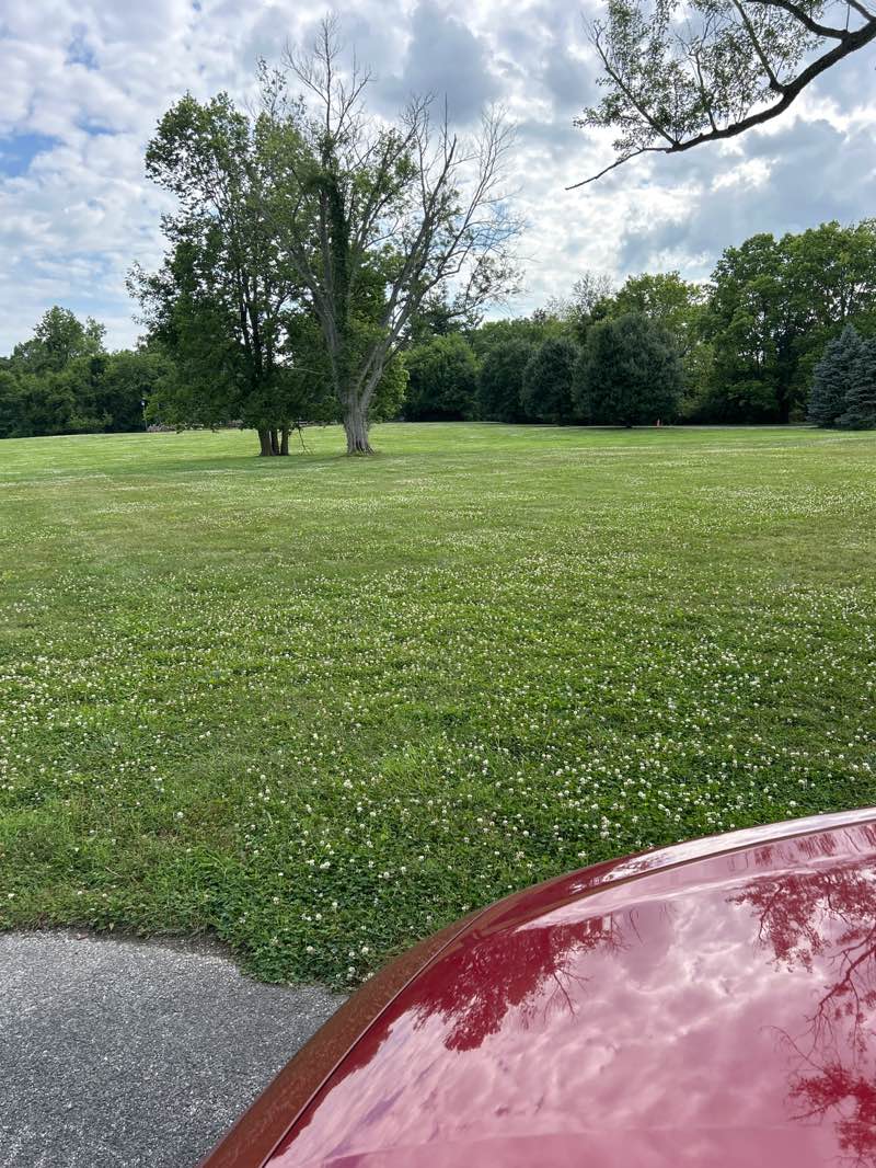 walking near me in Tague Park in summer