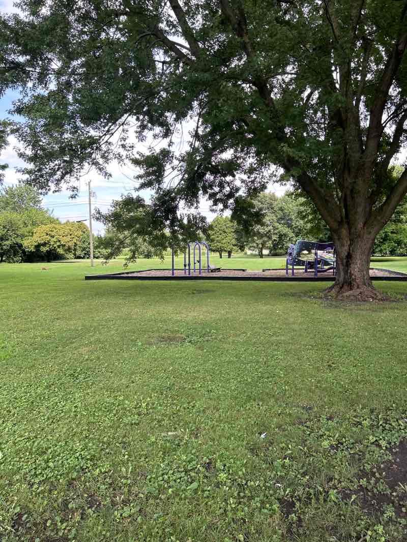 walking near me in Frantz Park in autumn