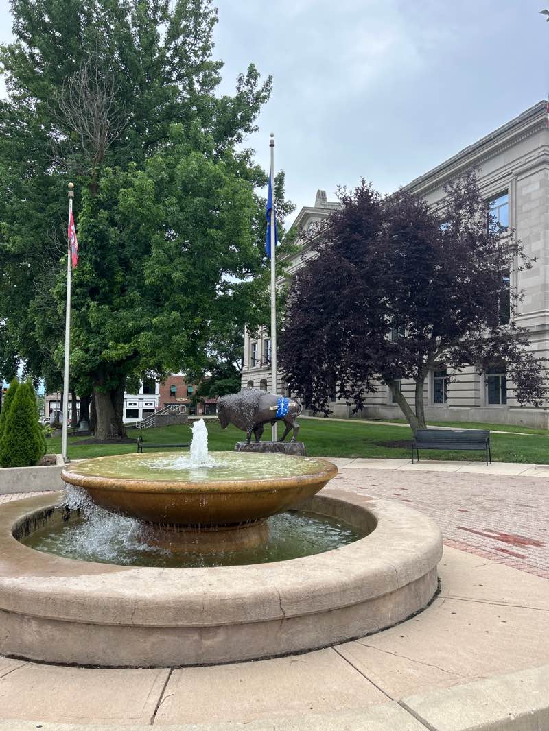 walking near me in Courthouse Grounds in autumn
