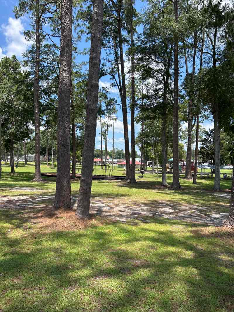 walking near me in Jeffords Park in summer