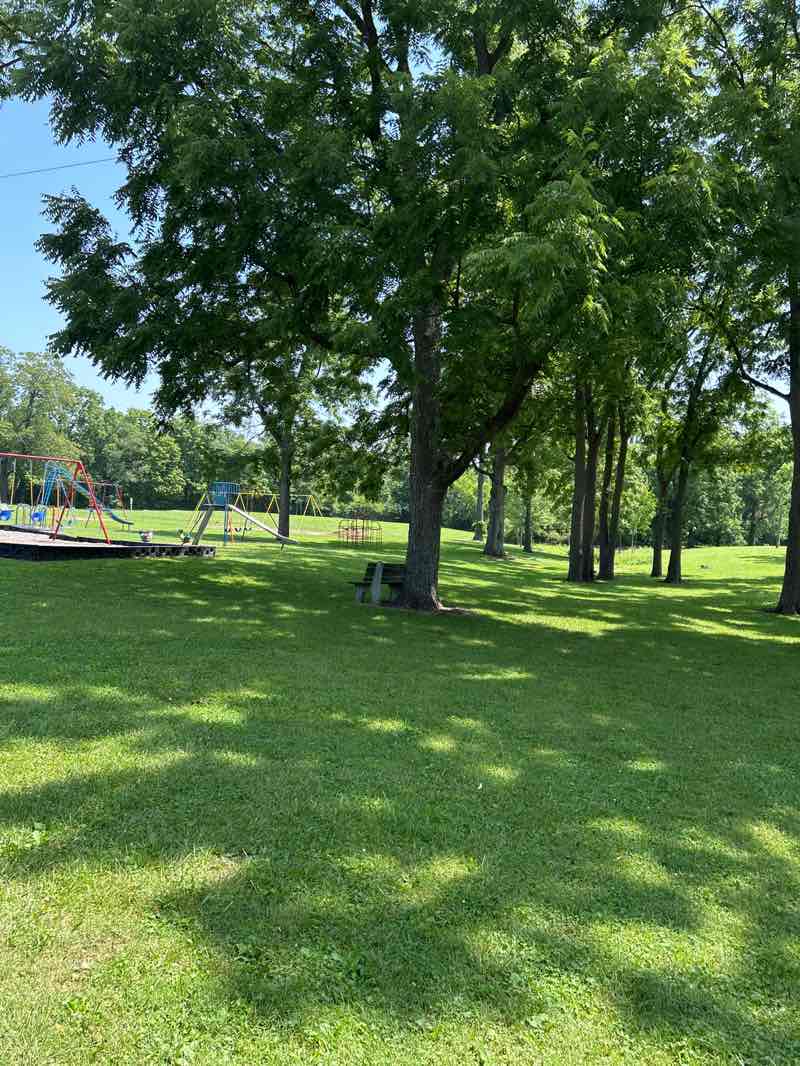 walking near me in Lions Club Park in autumn