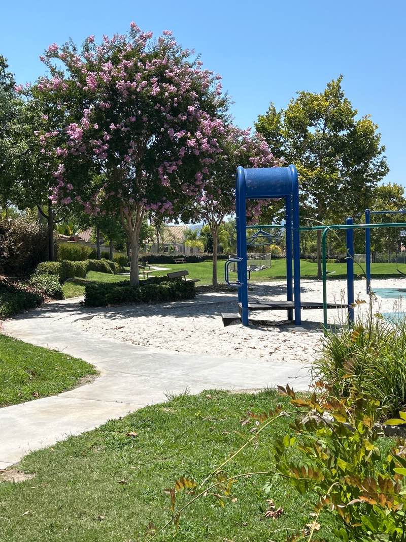 walking near me in Blackmore Ranch Park in autumn