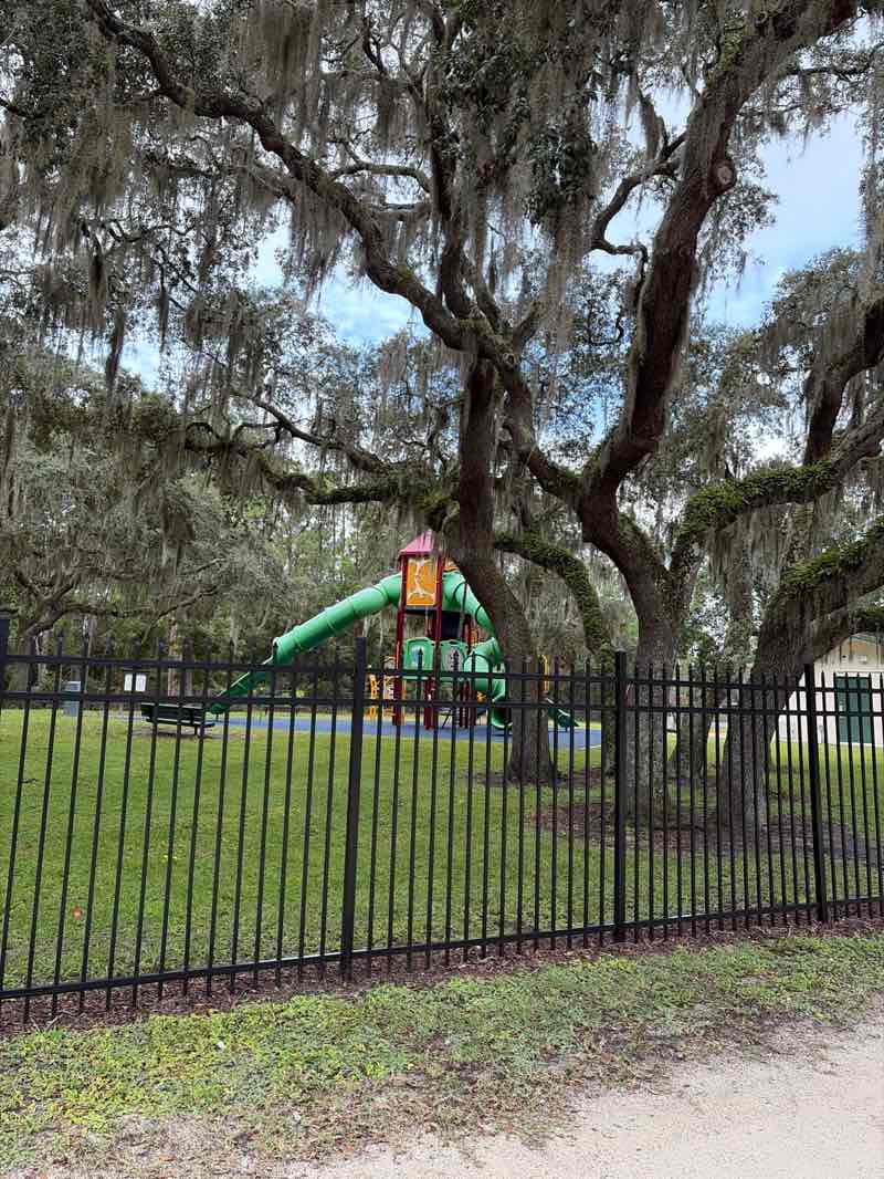 walking near me in Festival Park in autumn