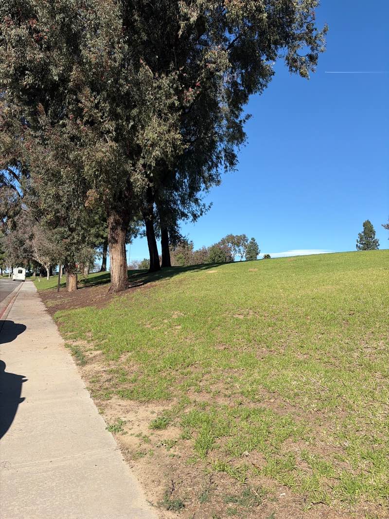 walking near me in Alta Murrieta Sports Park in winter