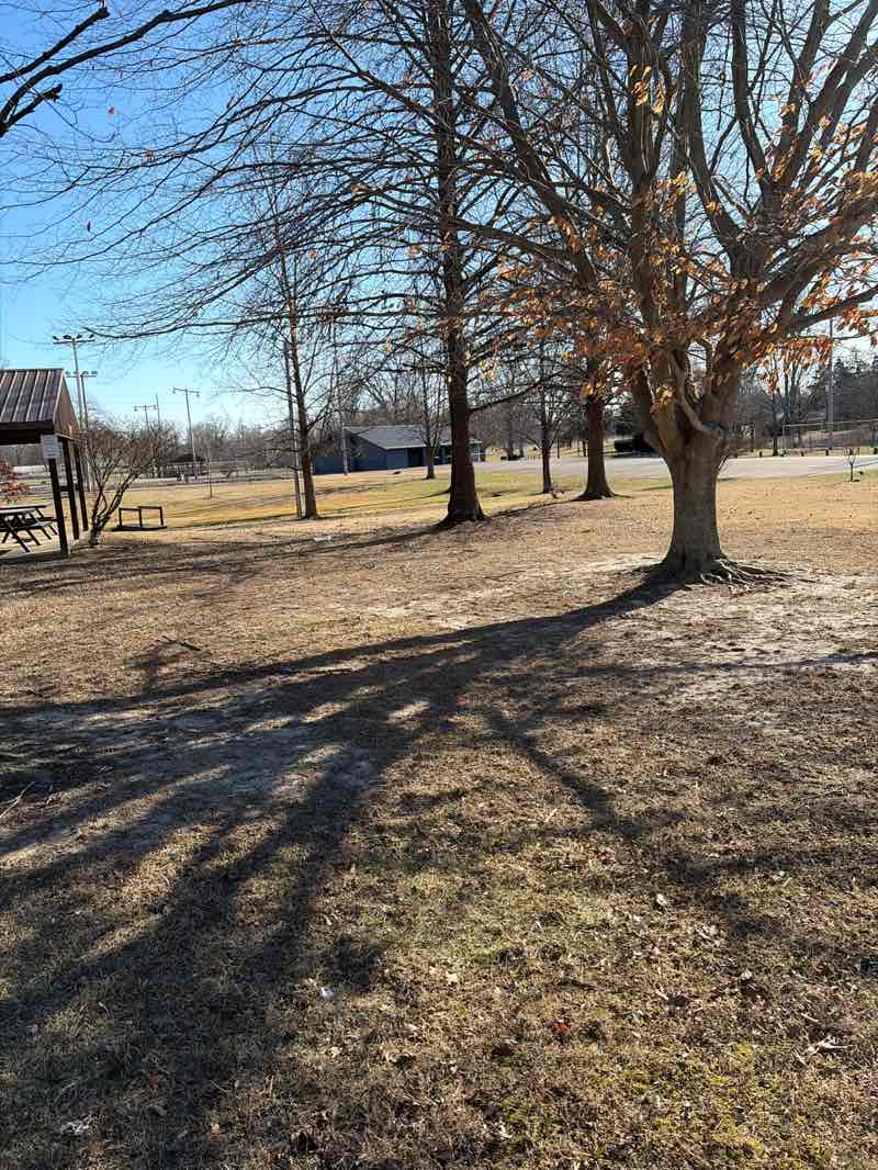 walking near me in Beechwood Park in winter