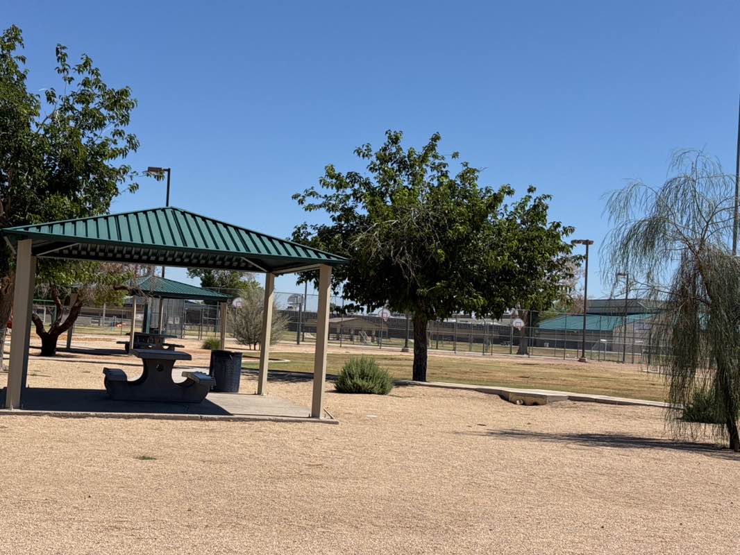 walking near me in Murphy Park in summer