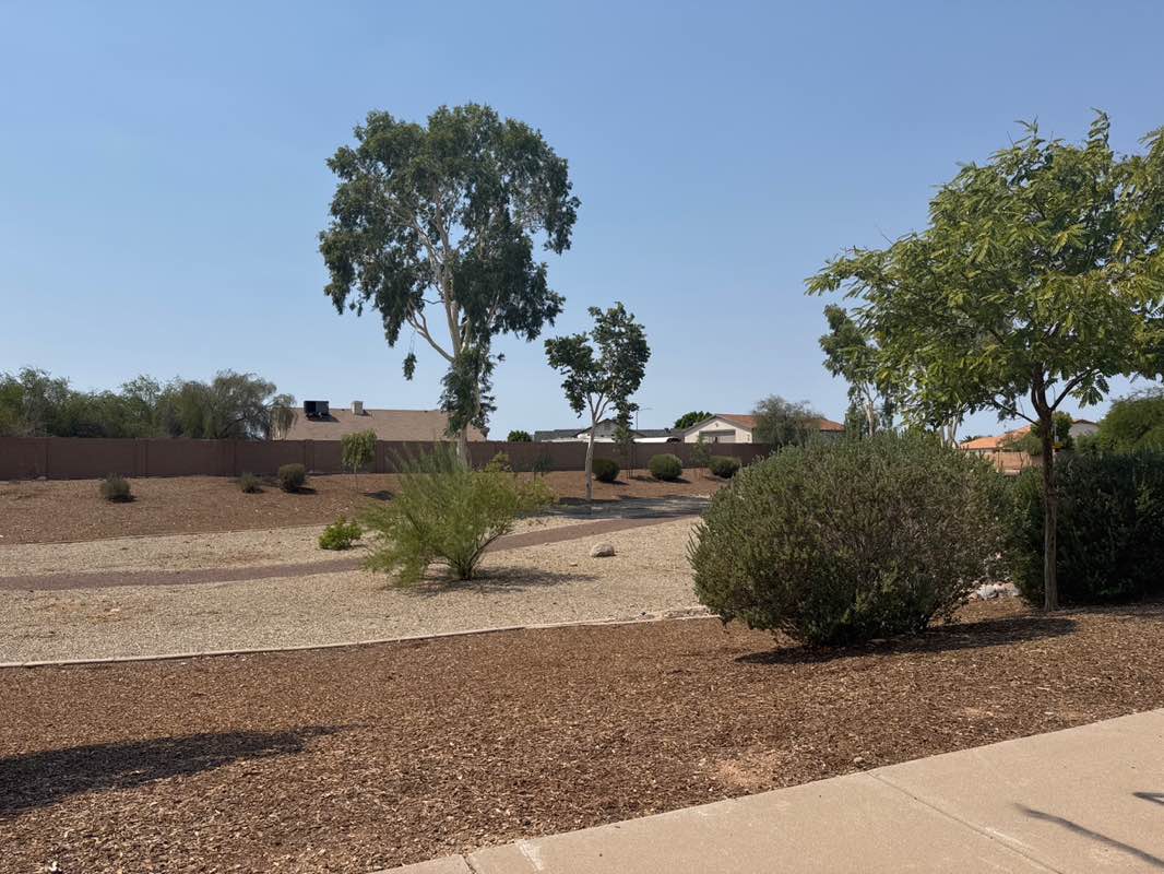 walking near me in Sweetwater Place Park in summer