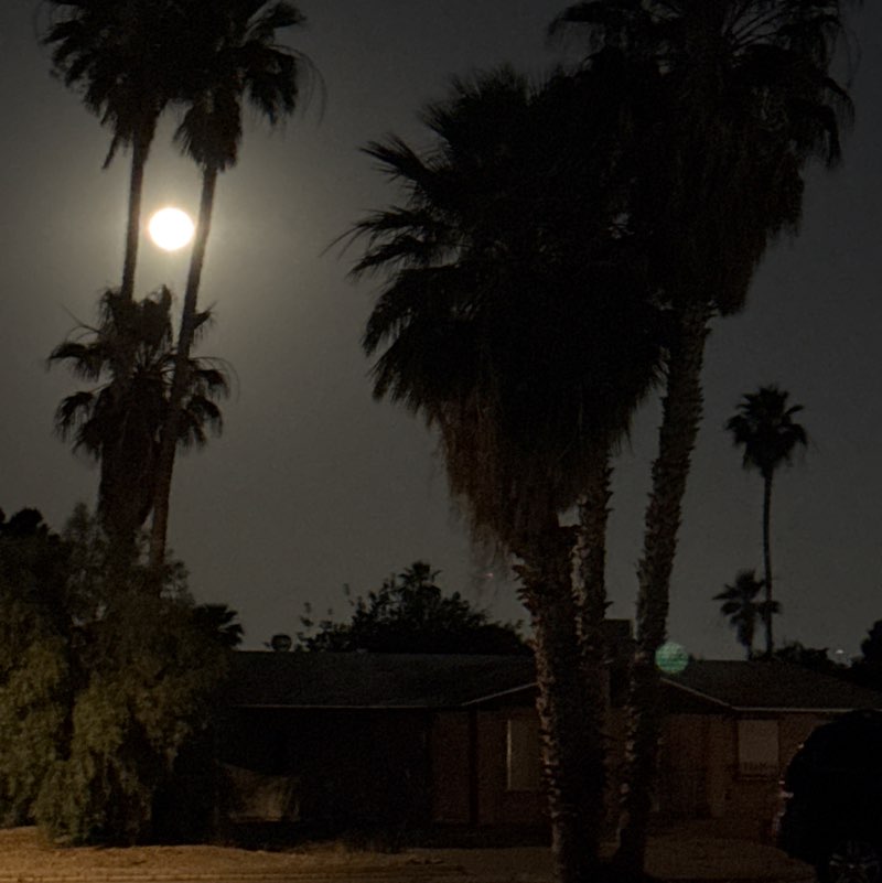 🌕FULL MOON🌕 🌵🧟♀️💦👟👟PacerGal🌷🌵 post image