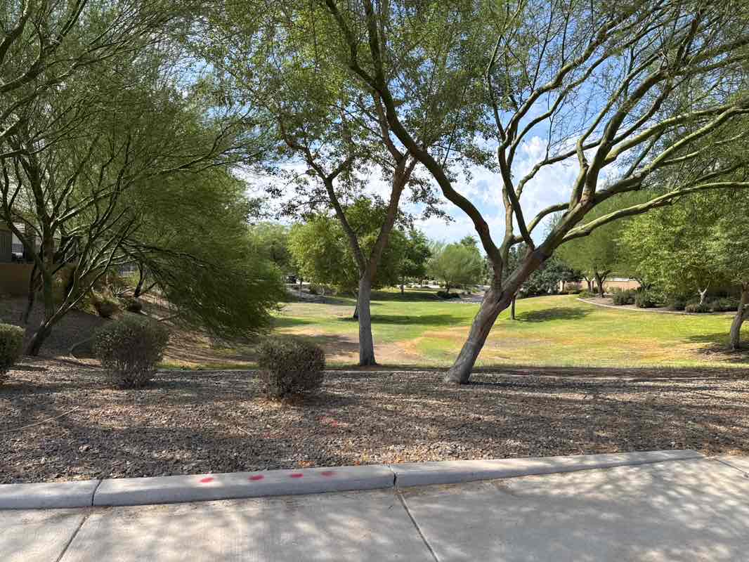 walking near me in Three Olive Park in summer
