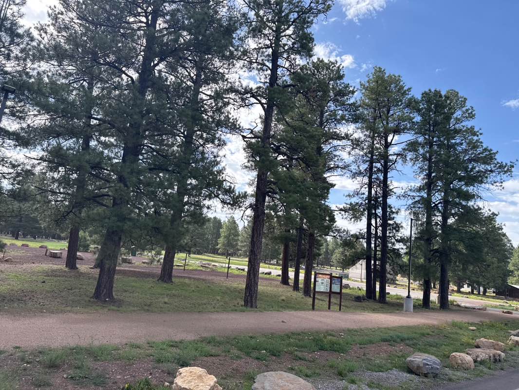 walking near me in Fort Tuthill County Park in summer