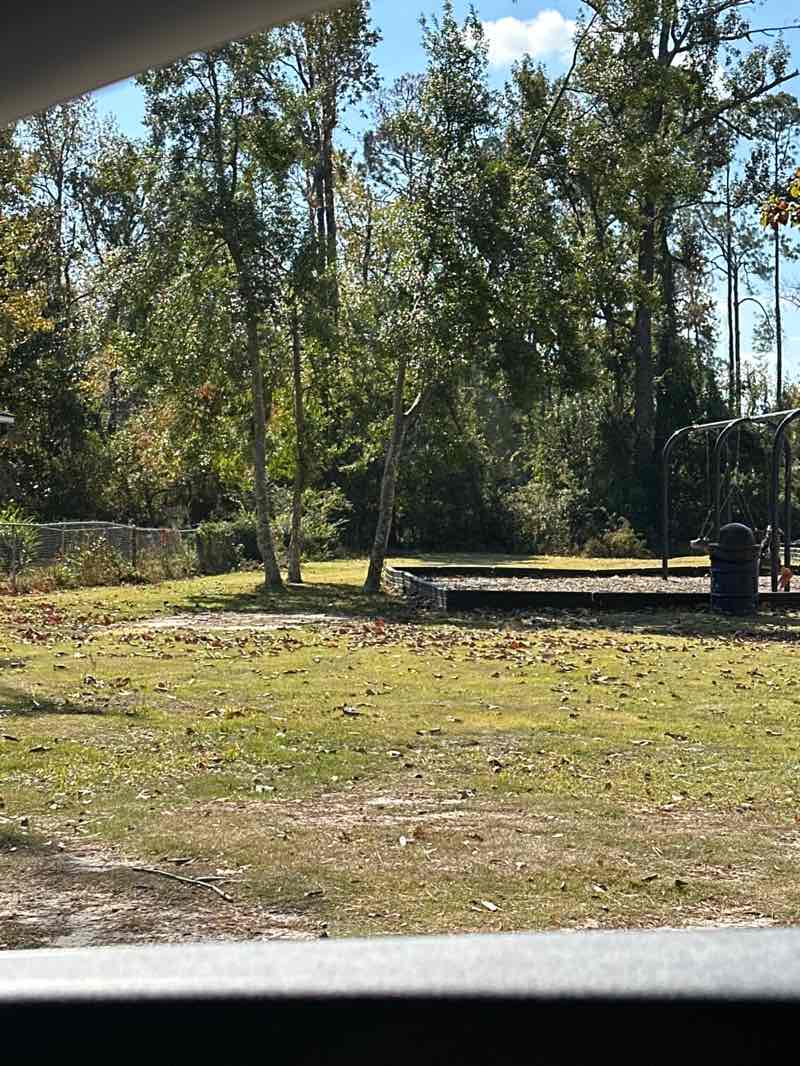 walking near me in Taylor-Cowart Memorial Park in autumn
