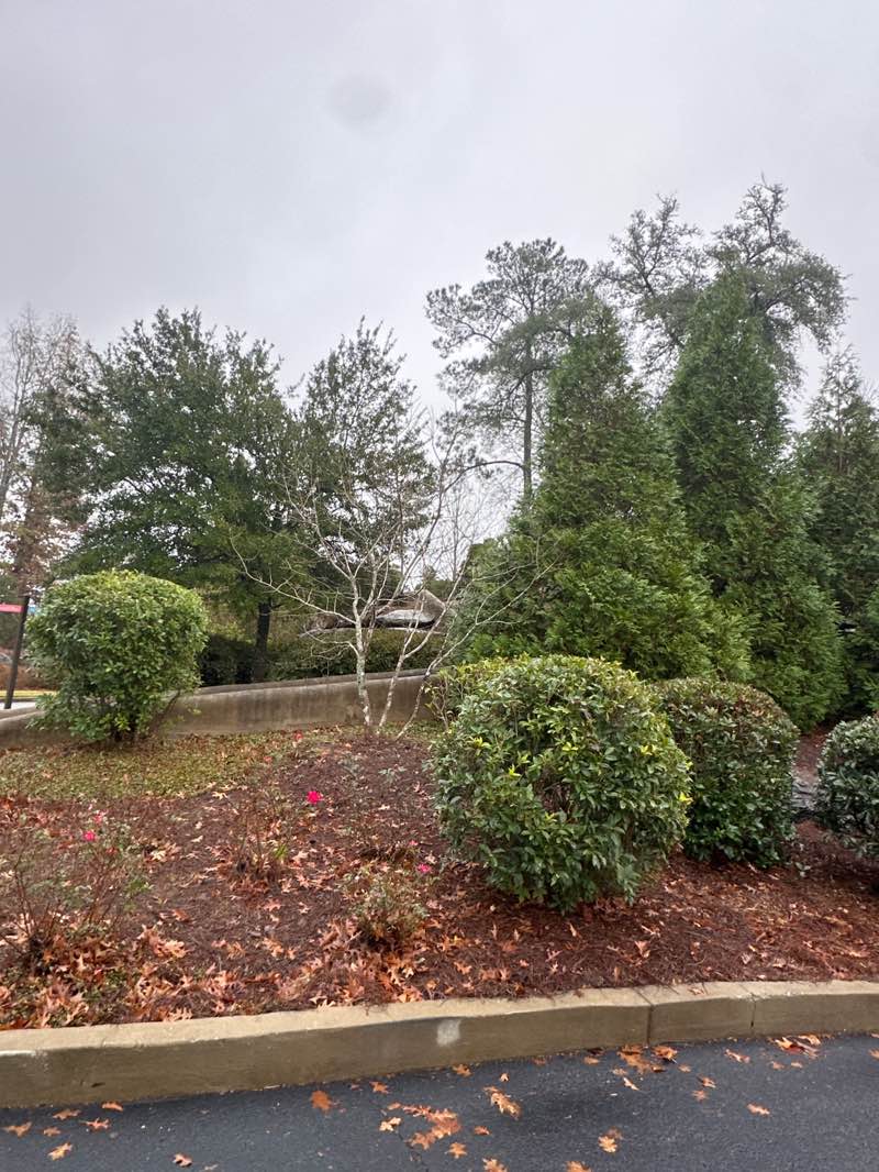 walking near me in Vee's park in winter