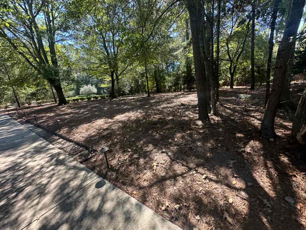 walking near me in Newtown Park in autumn