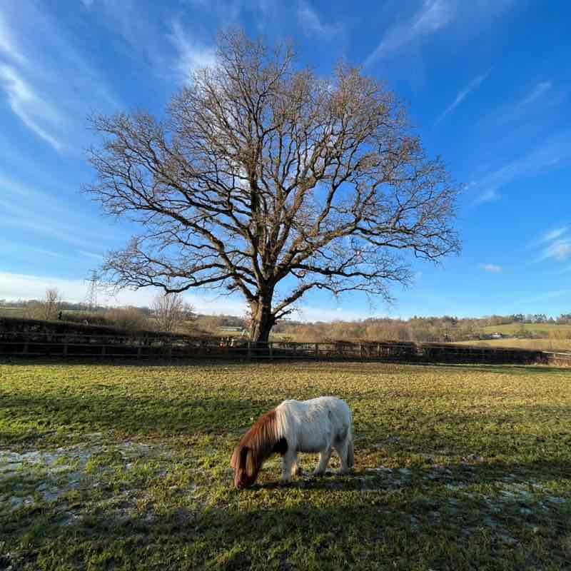 Bill 🇬🇧 🇺🇦 post 3