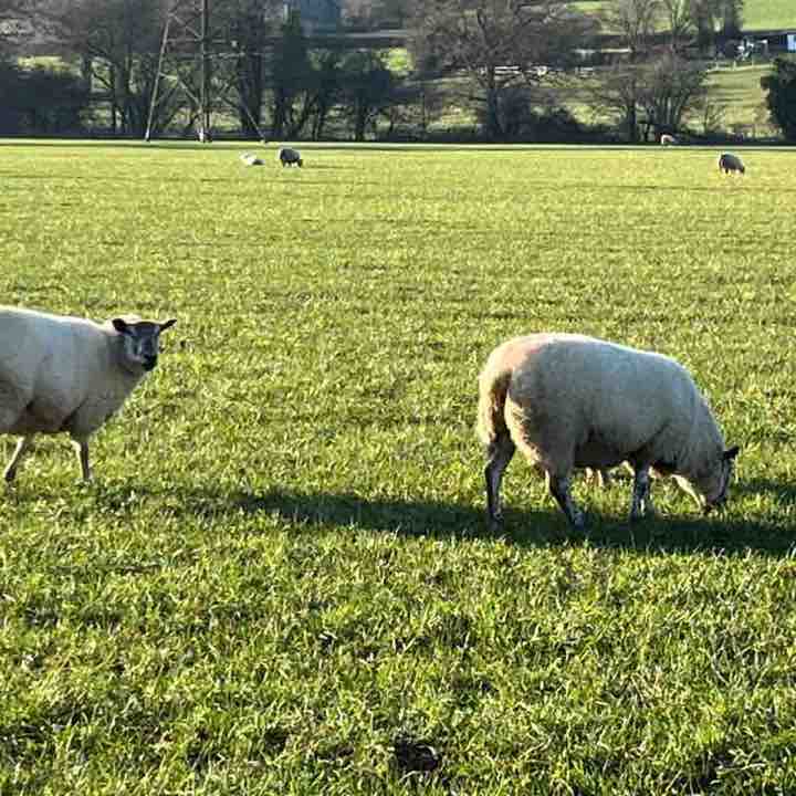 Bill 🇬🇧 🇺🇦 post 2