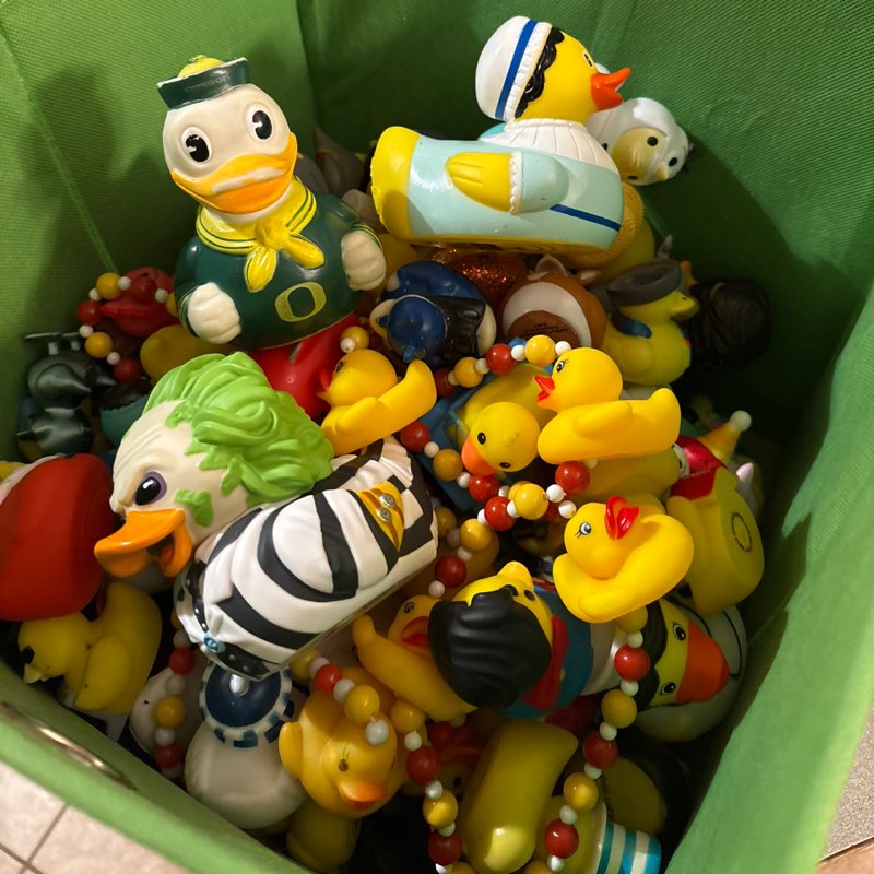 Go Ducks